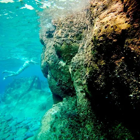 Edera ゲストハウス 3*