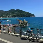 Edera Levanto