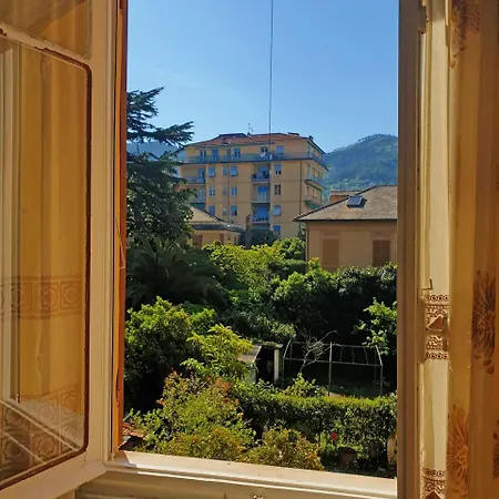 Edera * Levanto