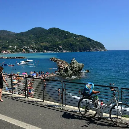 Edera Levanto
