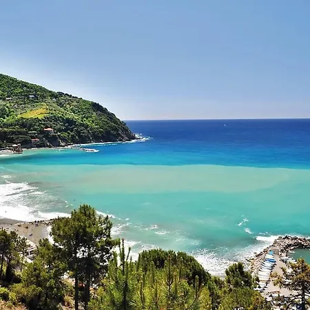 Edera * Levanto